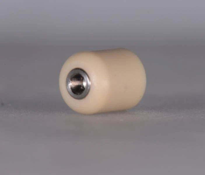 Straumann Healing Cap